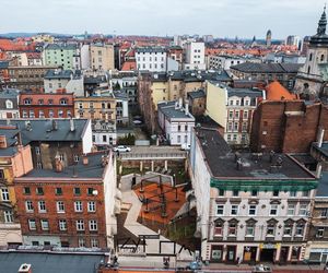 Życie w Architekturze 2025. Zielona strefa ulicy Katowickiej. Anna Becker, Marlena Pilch, Magdalena Wnęk