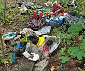 Zgroza w lesie pod Świeciem! Martwy pies w worku foliowym ze związanymi łapami. Policja szuka sprawcy bestialskiego czynu