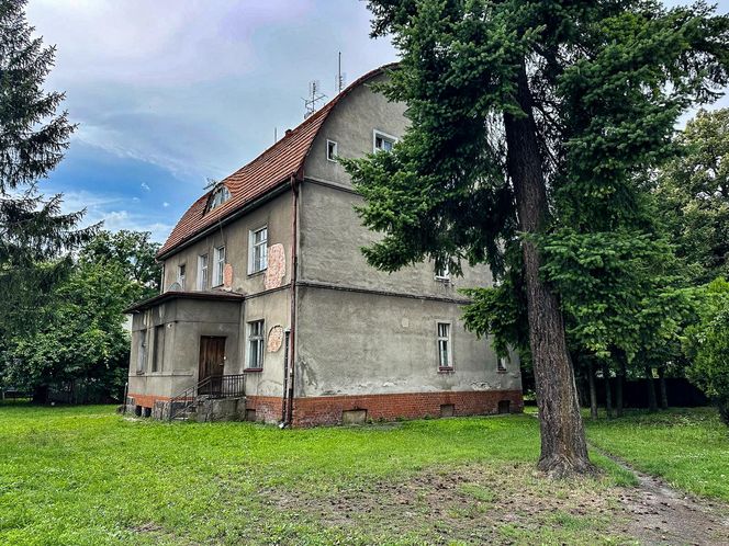  Zazdrość zabiła Anetę! Krwawy dramat w Braniewie