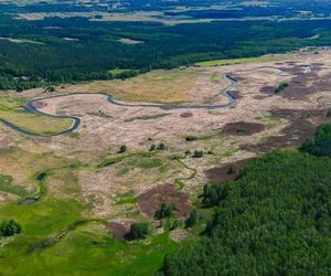 „Polska Amazonia” i „Polski Wersal”. Sprawdź, czy znasz największe atrakcje Podlasia