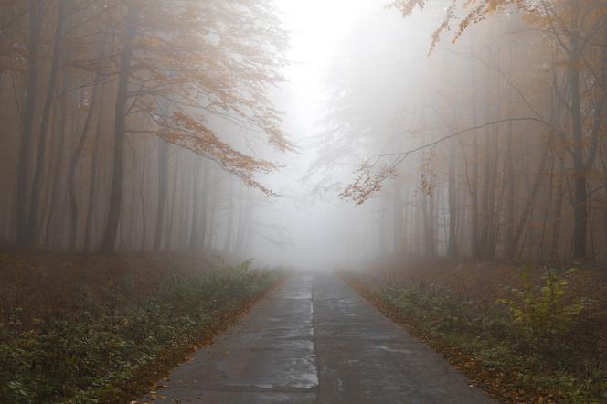 OSTRZEŻENIE IMGW! To będzie ciężka noc dla kierowców