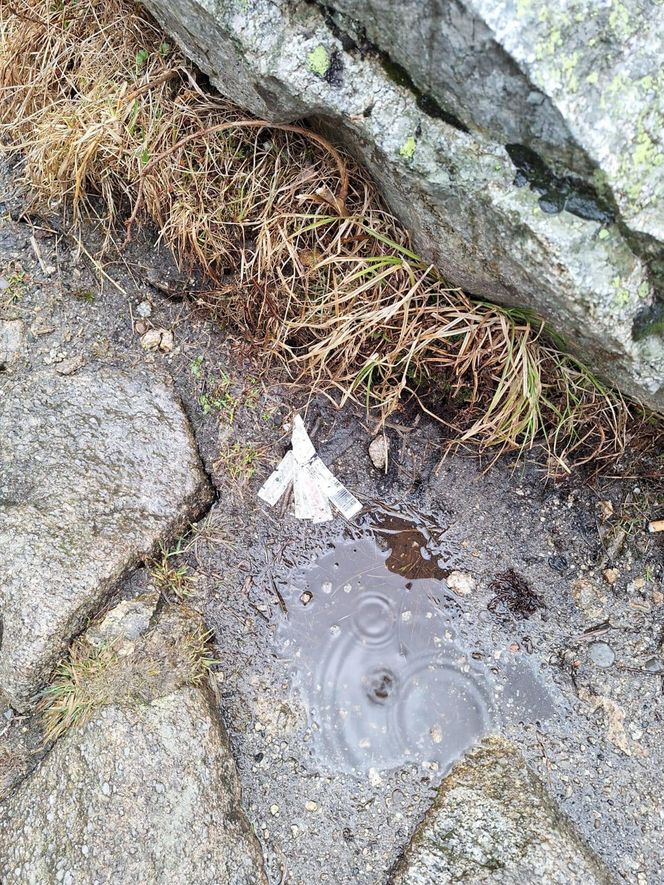 Morskie Oko zaśmiecone jak nigdy. To sprawka turystów. TPN opublikował zdjęcia.