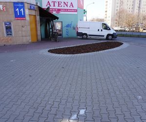 Potworki ursynowskie robią furorę w sieci. Mieszkańcy dzielnicy podzieleni. „Kto na to pozwalał”