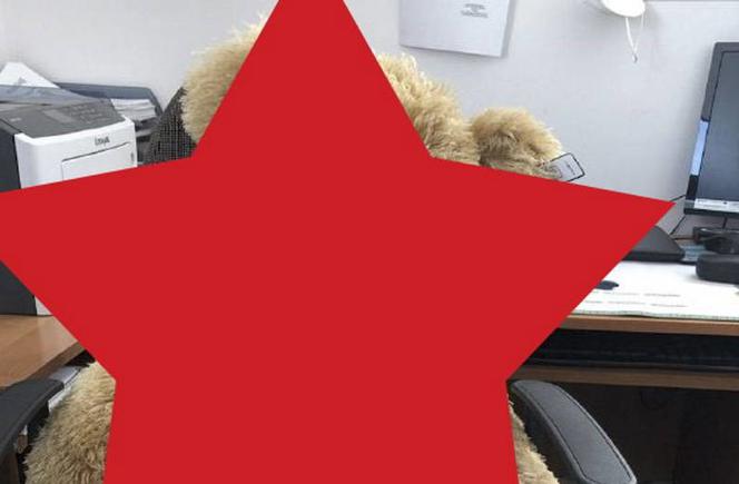 Niedźwiedź pod Grójcem? Miał leżeć na DK nr 50 i zagrażać bezpieczeństwu