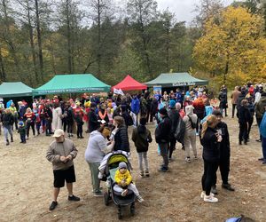 Bieg Superbohatera - Olsztyn 2025