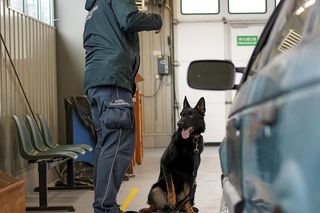 Postrach przemytników odchodzi na emeryturę. Tam spędzi resztę życia. Wszyscy ją kochają