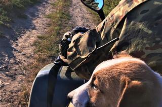 Strażnicy Graniczni znaleźli psa. Lucky ma już nowy dom [GALERIA]