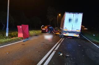 Tragiczny wypadek na DK 10 pod Trzeciewnicą! Zginęły dwie osoby [ZDJĘCIA]