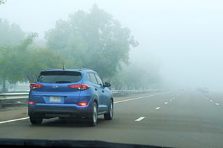 Te regiony spowiły gęste mgły! IMGW ostrzega. Kierowcy, miejcie się na baczności 