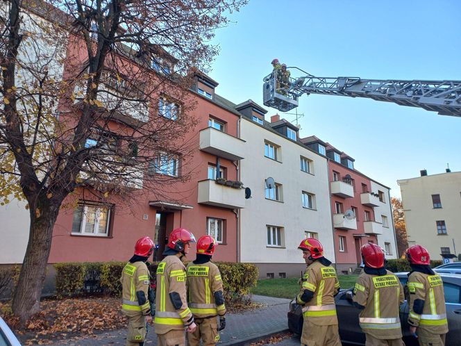 Zgłoszenie o pożarze na Dąbrowskiego w Lesznie. Pożaru nie było