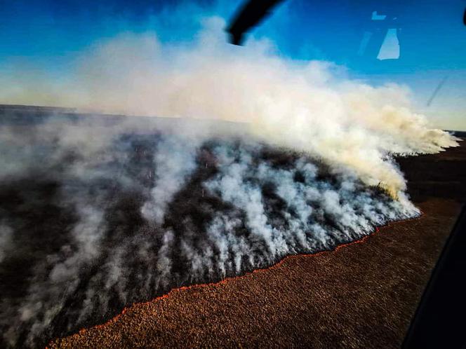 Pożar Biebrzańskiego Parku Narodowego. Akcję wspiera policyjne Black Hawk