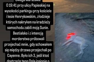 Przejechali mu psa oplem. Zabili moją Sunię