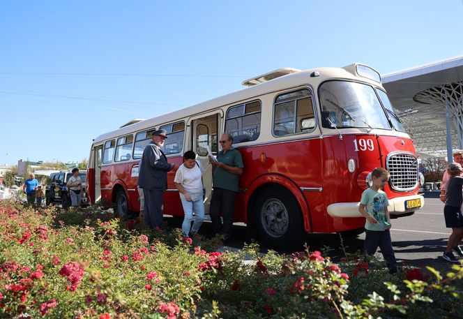 Animacje, najdłuższy autobus w kraju i inne atrakcje. Tak wyglądał Dzień bez Samochodu w Lublinie