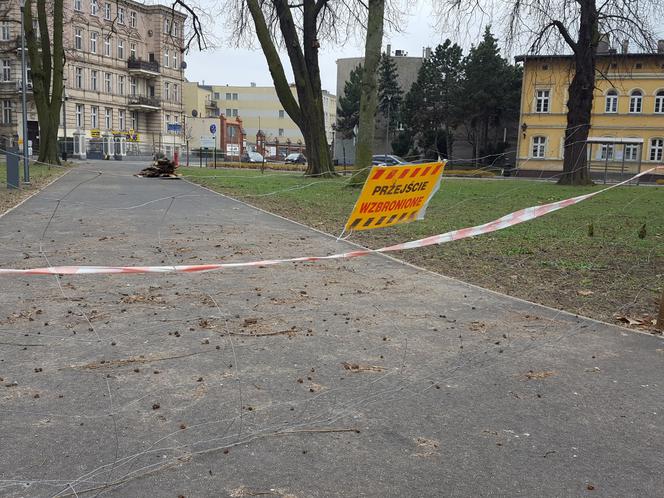 W parku na Pl. Kościuszki przygotowania do nowego sezonu