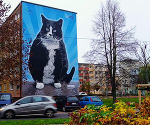 Mural z kotem Gackiem już odsłonięty
