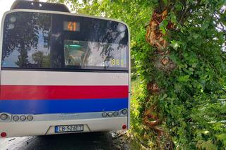 Pod Bydgoszczą autobus podmiejski uderzył w drzewo. Kilkanaście osób jest rannych!