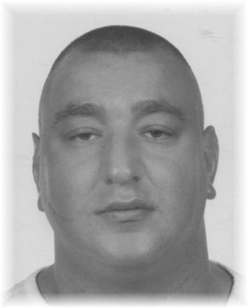 Poszukiwany Sylwester Różalski