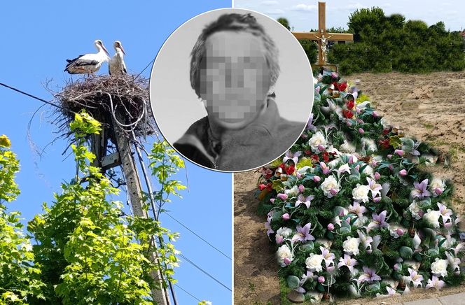 Ratował boćka na słupie, spadł z drabiny