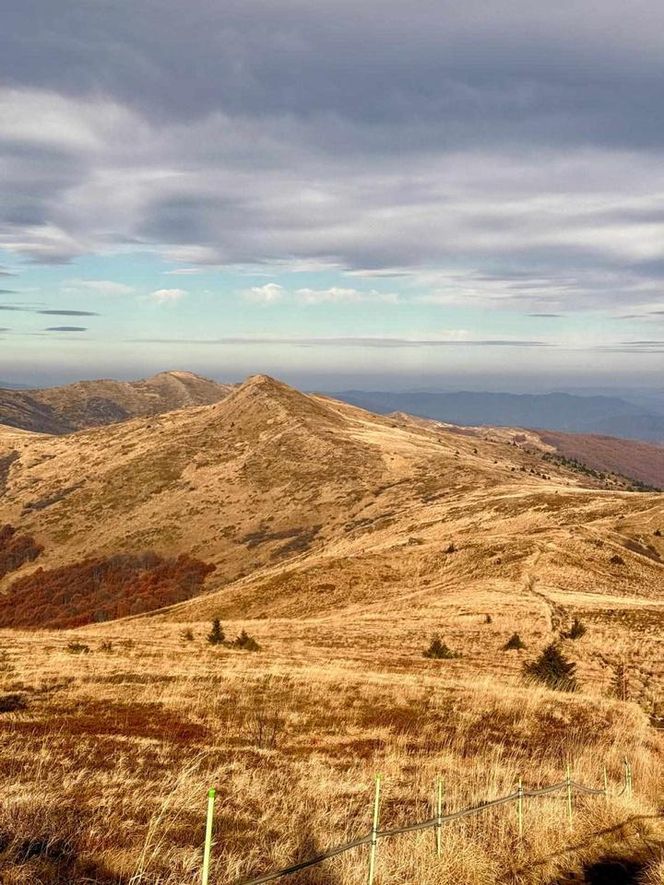 Jesienne Bieszczady