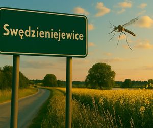 Śmieszne nazwy miejscowości