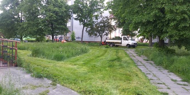 "Starachowiczanka" w akcji
