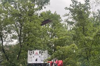 Nawałnice i burze w Świętokrzyskiem. Ponad 200 interwencji strażaków. Droga w Ćmielowie całkowicie zniszczona [ZDJĘCIA].