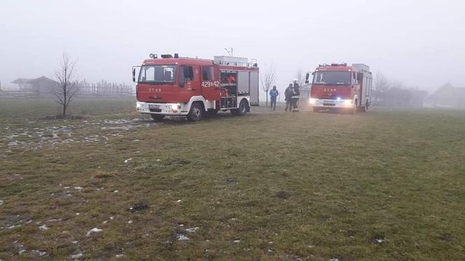 Pies dryfował na krze. Tragedia na jeziorze Lednica