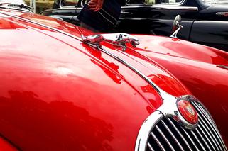 XX Podkarpacki Rajd Pojazdów Zabytkowych - konkurs elegancji na Rynku w Rzeszowie