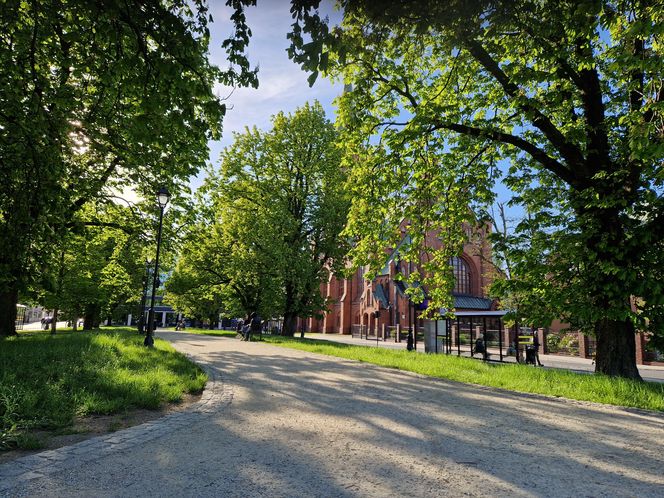 Plac Kościeleckich rozkwita na wiosnę. Bydgoszczanie chętnie wybierają go na spacer