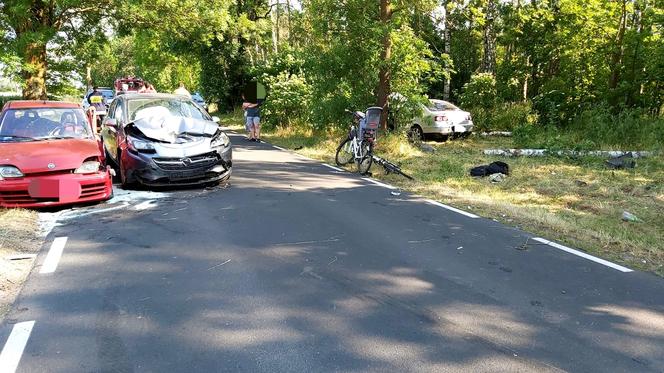 Śmiertelny wypadek pod Szamotułami. Pijany Ukrainiec staranował dwóch 14-latków 