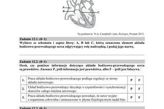 Matura 2018 z biologii [ARKUSZE CKE, ODPOWIEDZI]