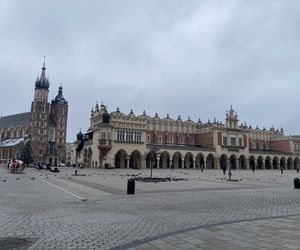 Ranking najlepszych miast wojewódzkich w Polsce. Kraków na podium