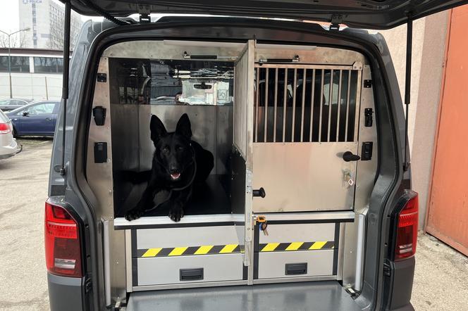 Małopolscy policjanci otrzymali radiowozy służące do przewozu psów służbowych