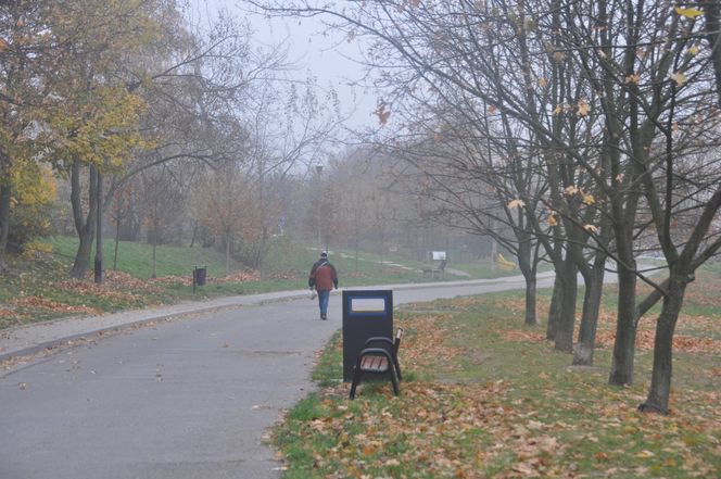 Jesień na Osiedlu Świętokrzyskim i Szydłówku w Kielcach