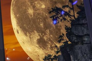 6 milionów za zdjęcie