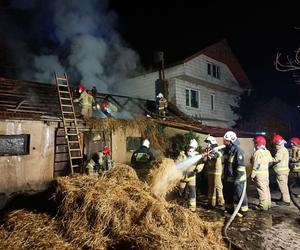 Nocny pożar w gminie Łagów pod Kielcami. W budynku były krowy!