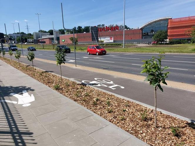 Bydgoszcz. Kończy się budowa drogi rowerowej na ulicy Focha. Kiedy będzie gotowa?