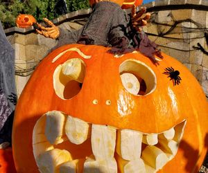 U Łukasza z Pawłowa hasło cukierek albo psikus nabiera innego wymiaru. Najbardziej halloweenowy dom świętokrzyskiego