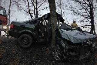 Zawinął się na drzewie starym Audi