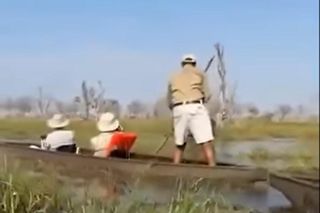 Horror na wakacjach. Zaatakowały ich słonie, wpadli do rzeki pełnej krokodyli