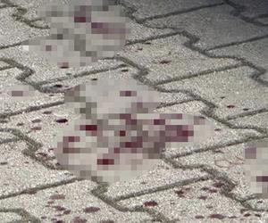 Napad w Wólce Kosowskiej. Krew lała się po ulicach!
