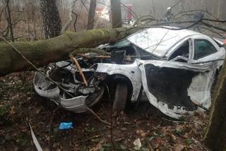 18-latek przesadził z prędkością podczas wyprzedzania. Samochód złamał drzewo na pół [ZDJĘCIA]