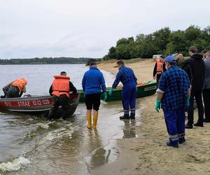 3,5 tony śniętych ryb w jeziorze. Specjaliści podali, co może być przyczyną