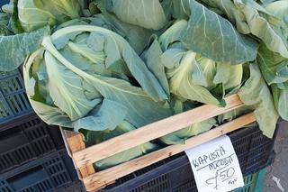 Byliśmy na bydgoskim targowisku. Tanio można kupić tylko wczorajsze rzodkiewki