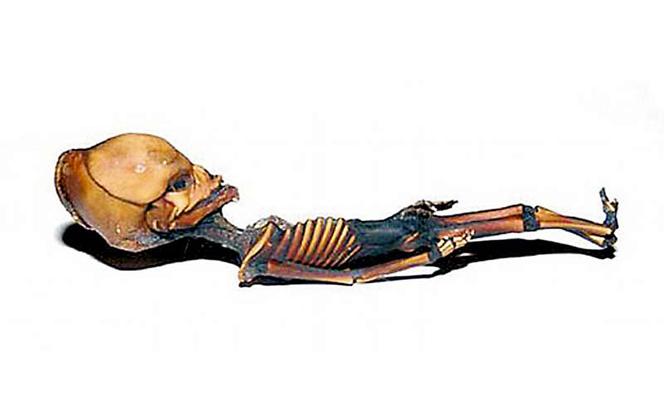 Znaleźli szkielet krasnoludka