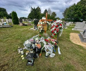 Rodzinny horror w dawnym tartaku