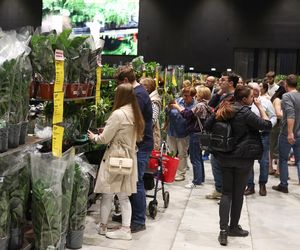 Festiwal Roślin w Katowicach przyciągnął tłumy miłośników zieleni. MCK przepełnione roślinnością