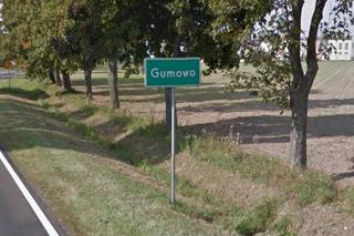 Gumowo (pow. ciechanowski)