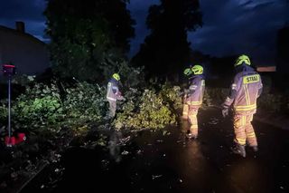 Burze nad Wielkopolską. Strażacy interweniowali setki razy
