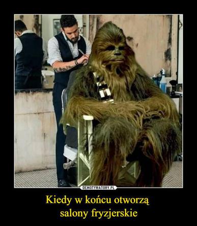 Fryzjerzy na kwarantannie: MEMY. W oczekiwaniu, kiedy otworzą salony fryzjerskie